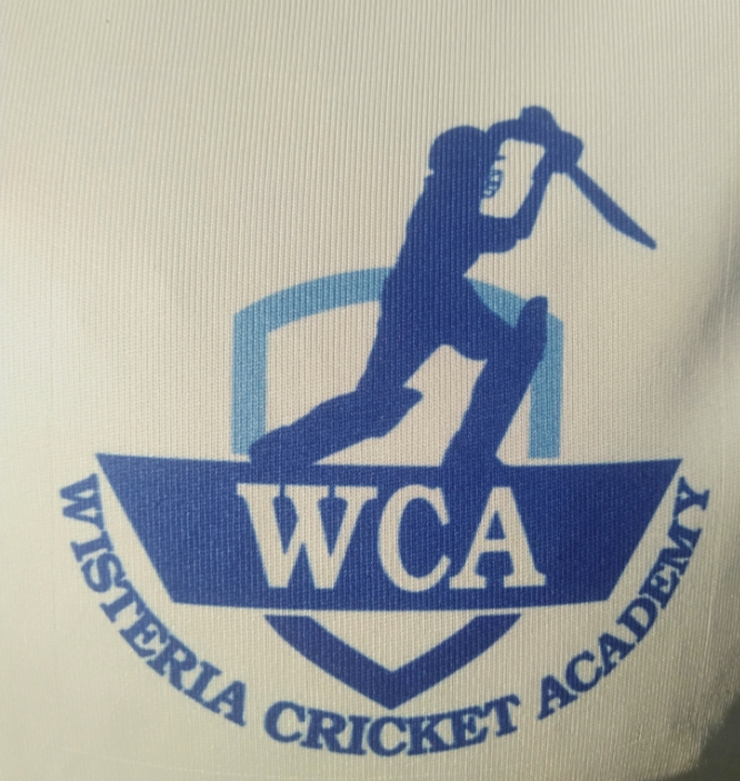 wisteria cricket academy